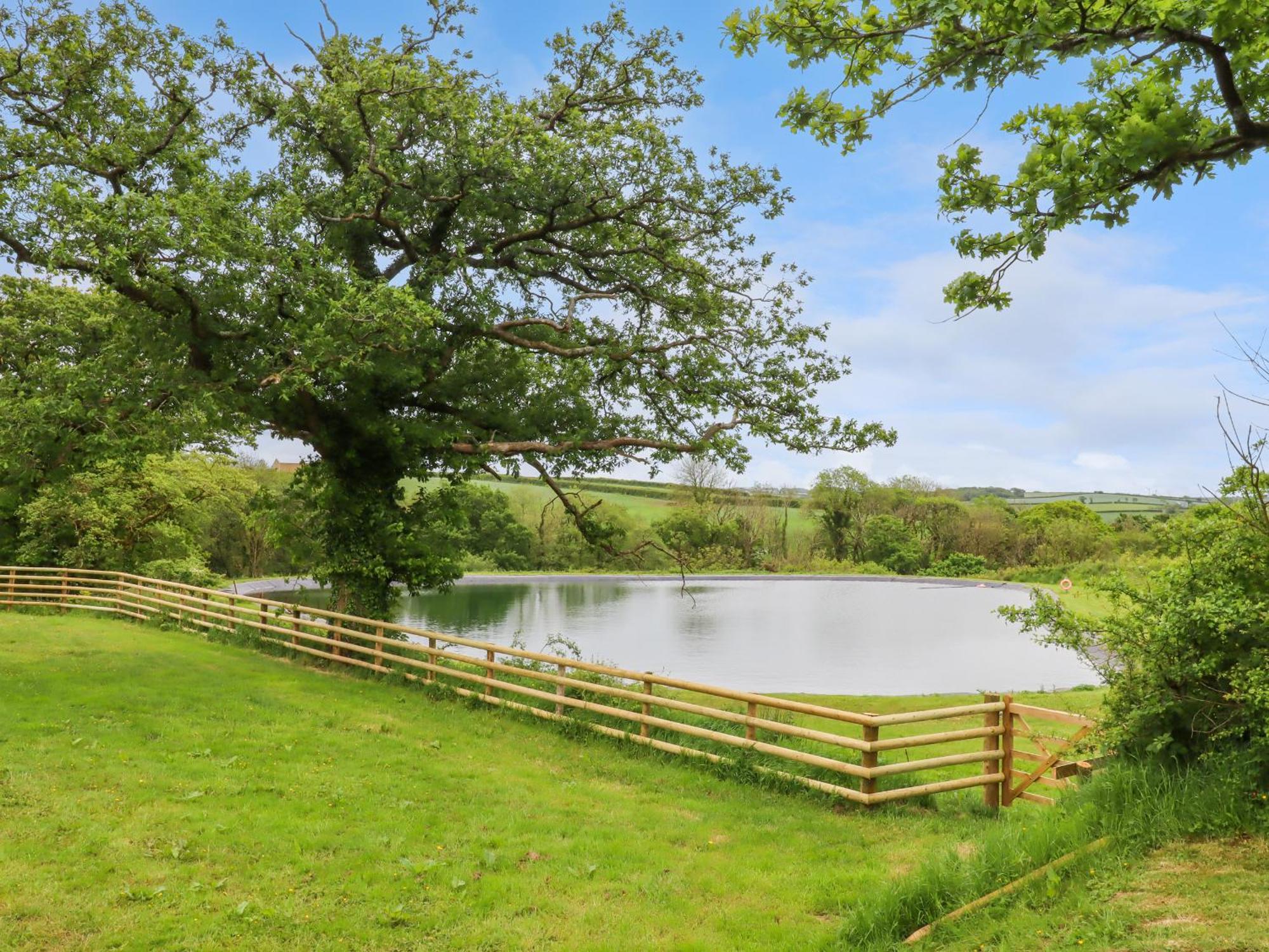Villa Hole Park Holsworthy Exterior foto